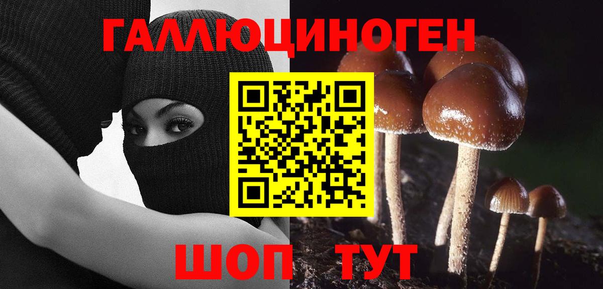 Заволжье  Галлюциногенные грибы мицелий  Вход с VPN  Псилоцибиновые грибы Magic Shrooms 